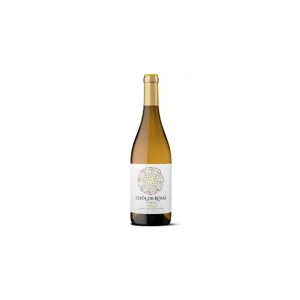 ALBARIÑO CHAN DE ROSAS C/ 6