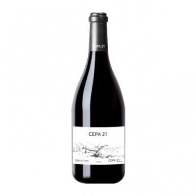 Vino Cepa 21