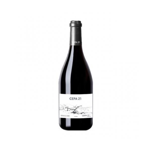 VINO CEPA 21   C/ 6 BOT.
