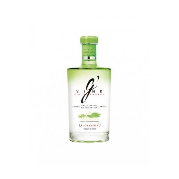 GINEBRA GVINE C/ 6 BOT.